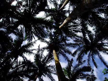 映画観たーい。